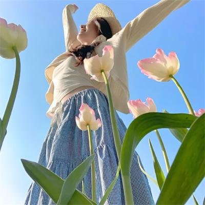 不汗党